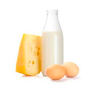 Mlečni proizvodi i jaja